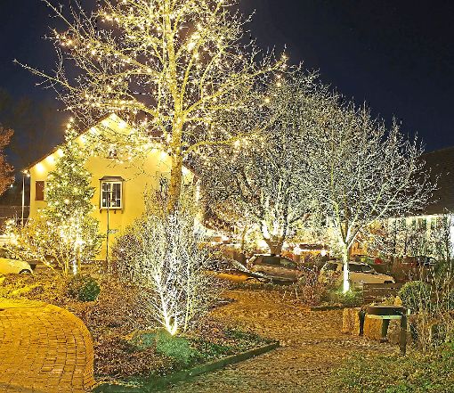 Um die gesamte Ortschaft Hörschweiler während der Weihnachtszeit zu verschönern, investierte die DG rund 6500 Euro in Leuchtmittel. Archiv-Foto: Wagner Foto: Schwarzwälder-Bote