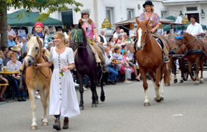 Reiter, Pferde und Kutschen –  sie gaben ein schönes Bild im Weitinger Festumzug ab. Fotos: Morlok Foto: Schwarzwälder-Bote