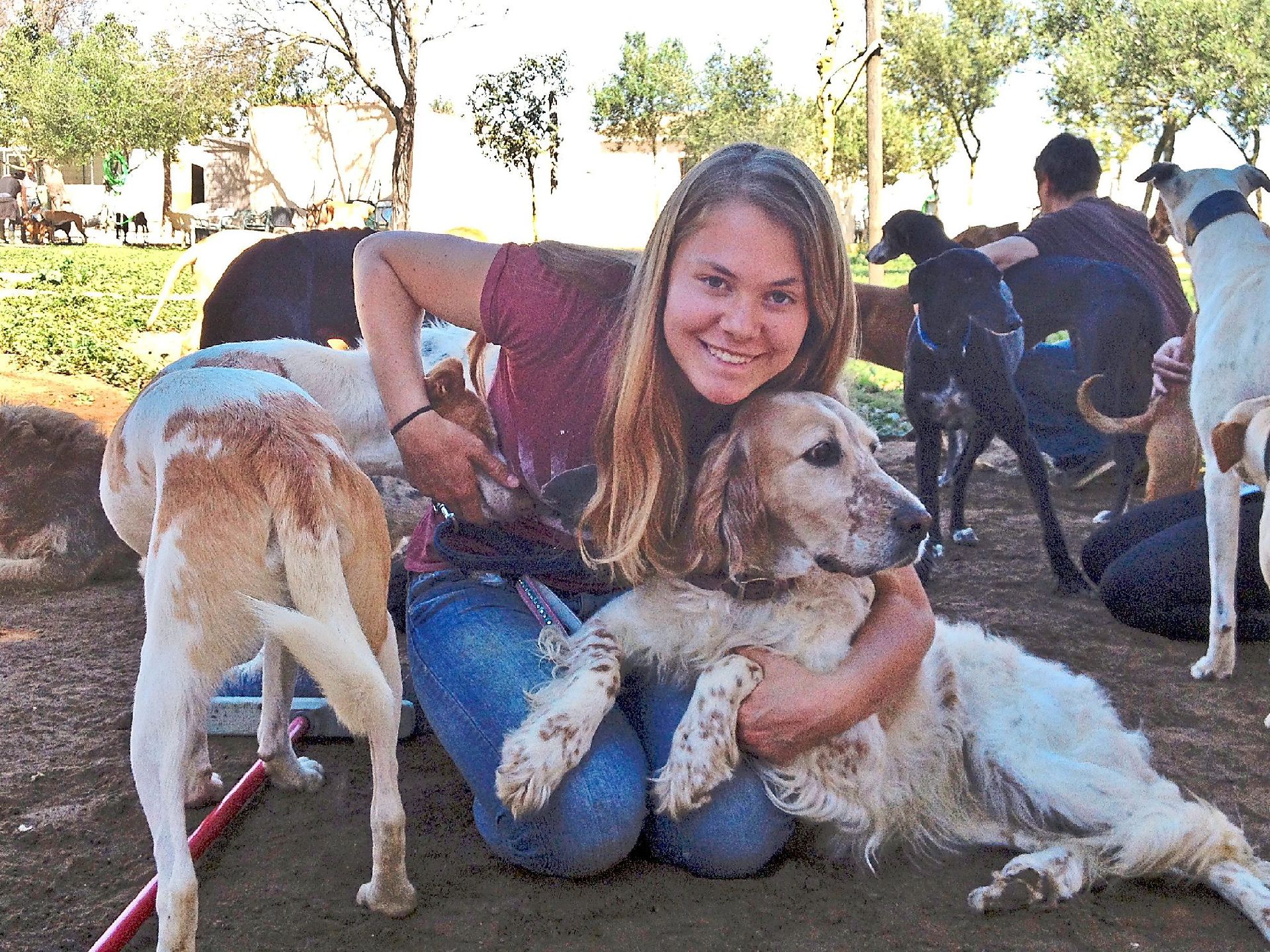 Villingen-Schwenningen: Spanische Hunde finden ein Zuhause ...