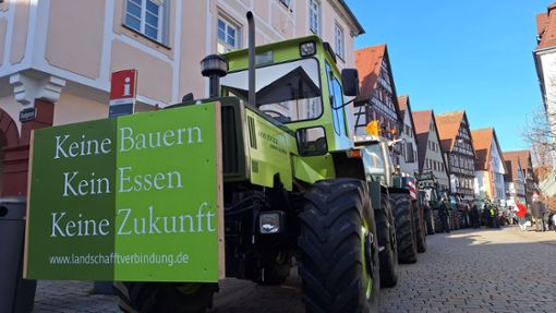 Rund 100 Trecker trugen den Bauernprotest nach Nagold und in die Marktstraße. Foto: Sebastian Bernklau