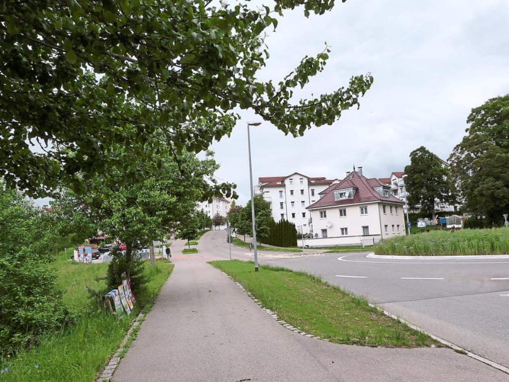 Der Weg der anerkannten Asylbewerber führt auch auf den Hegneberg. Foto: Schulz