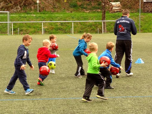 Beim SC Kaltbrunn gibt es wieder Bambini-Training.  Foto: Verein Foto: Schwarzwälder-Bote