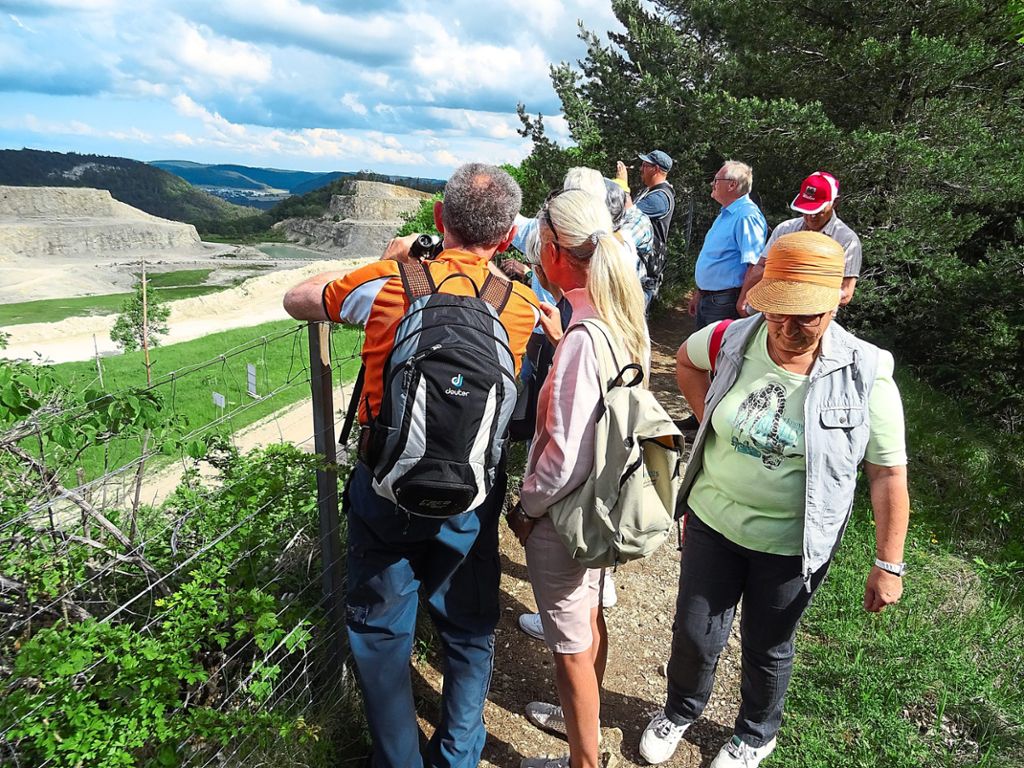 Blick in den Steinbruch: Die Mitglieder des Bürgervereins machen sich ein Bild vom Abbau auf dem Plettenberg.   Foto: Privat