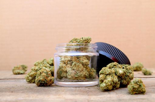 Vor allem mit Marihuana soll der Angeklagte gehandelt haben. Foto: © Xhico – stock.adobe.com
