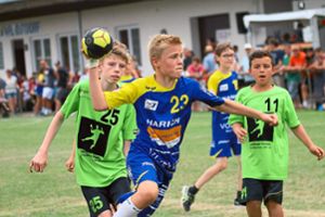 Immer mit viel Spaß und Engagement sind die Nachwuchs-Handballer beim Berolino-Cup des VfL Ostdorf bei der Sache. Foto: Kara Foto: Schwarzwälder Bote