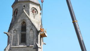 Netze sollen Kirche vor ätzendem Taubenkot schützen