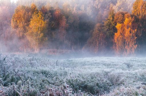 Morgennebel, reichlich Frost – Im November war’s kalt. Foto: ©alexugalek-stock.adobe.com