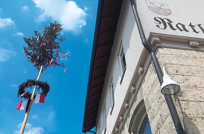 Tradition oder Straftat?: Abgesägter Maibaum in Höfendorf erregt die Gemüter