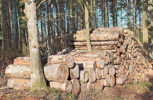 Viel Holz wurde 2022 in Vöhrenbach eingeschlagen und brachte gute Erlöse. (Symbolfoto) Foto: © HansLinde – Pixabay