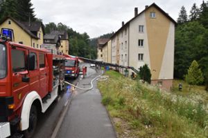 Ein Löschzug der Feuerwehr Schramberg war am Mittwoch erneut im Einsatz. Foto: Wegner Foto: Schwarzwälder Bote