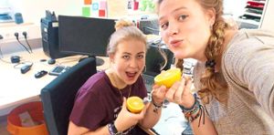 Lecker, gesund  und für eine gute Sache: die Orangen aus der Aktion des EJW. Foto: EJW Foto: Schwarzwälder Bote