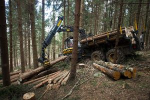 Geschlagenes Holz wird abtransportiert. Im Schömberger Wald wurde ein Plus erwirtschaftet.   Foto: Burgi Foto: Schwarzwälder-Bote