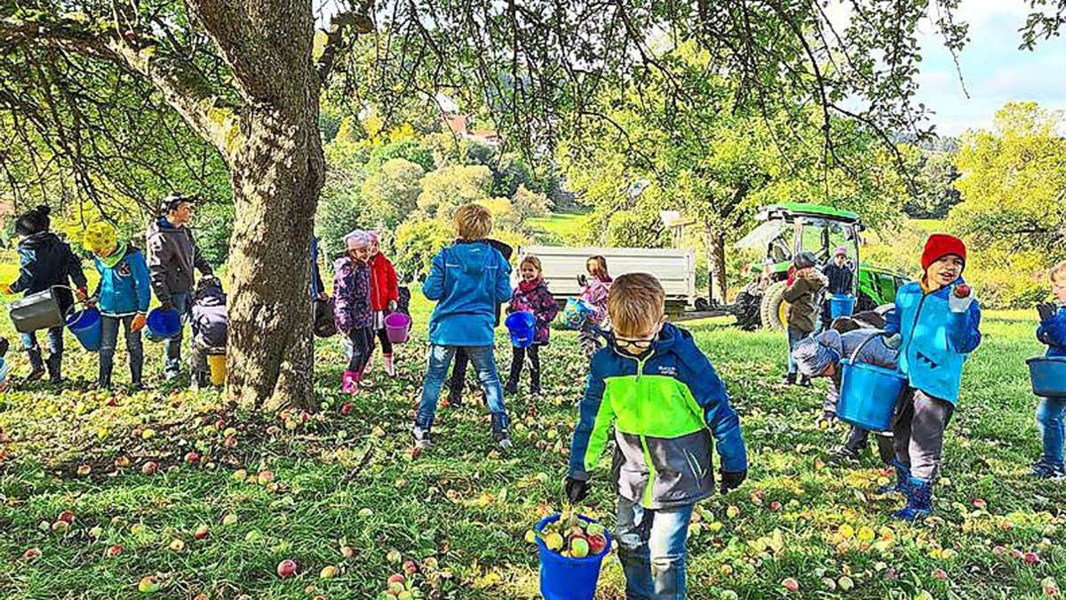 Obstblüte in der Region: Bad Dürrheimer Mineralbrunnen hofft auf gute Ernte