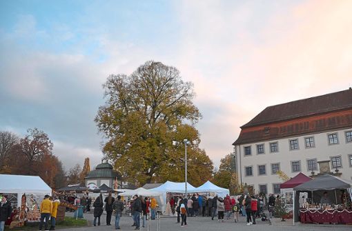Zahlreiche Stände haben die Kunsthandwerker rund um das Geislinger Schloss aufgebaut. Foto: Schreiber