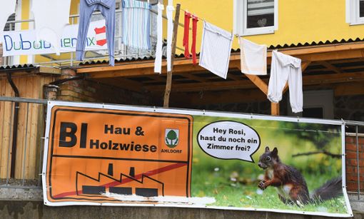 Die Bürgerinitiative Hau und Holzwiese engagiert sich sogar an der Fasnet für einen Erhalt des Gebietes – und bekommt jetzt erneut Zustimmung. Foto: Hopp