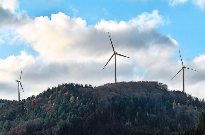 Energiewende in Seelbach: 2025 soll auf dem Langenhard ein Windrad gebaut werden