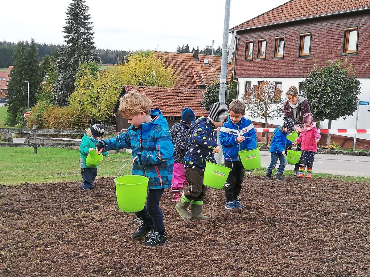 Die Kindergartenkinder in Oberreichenbach sähen Blumensamen was das Zeug hält.Foto: Strauß Foto: Schwarzwälder Bote