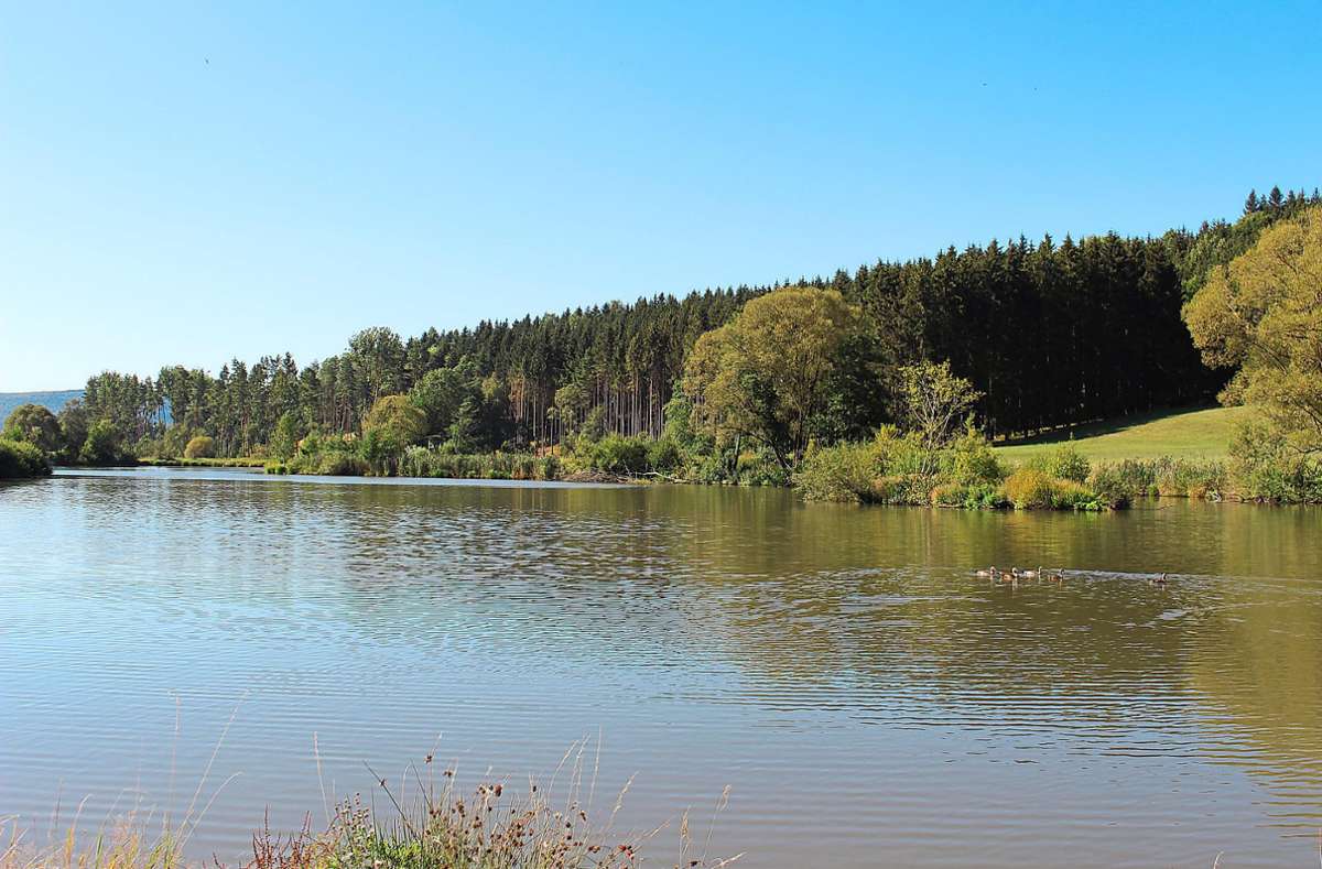 Im Niederwiesensee steigt die Temperatur, ein Teil der Forellen hat das nicht überlebt.