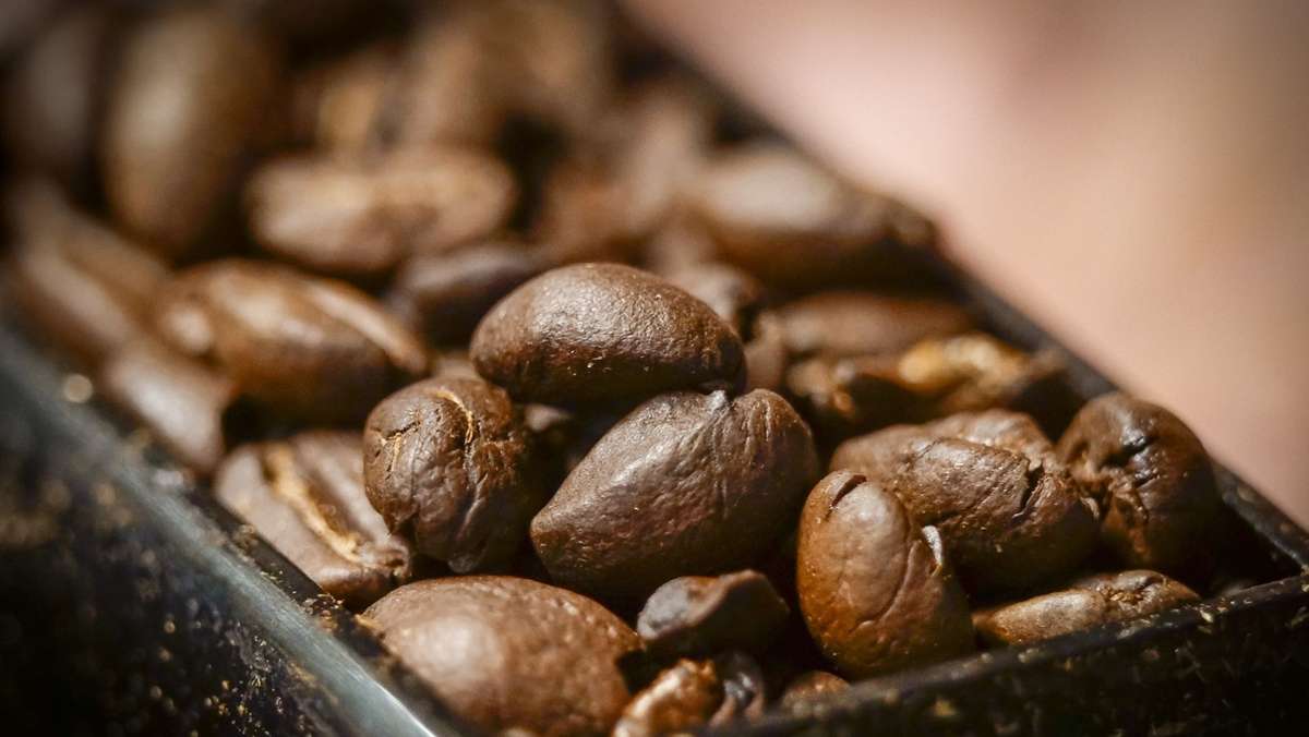 Experte für nachhaltigen Kaffee: „Kaffeekapseln sind eine Antikultur“