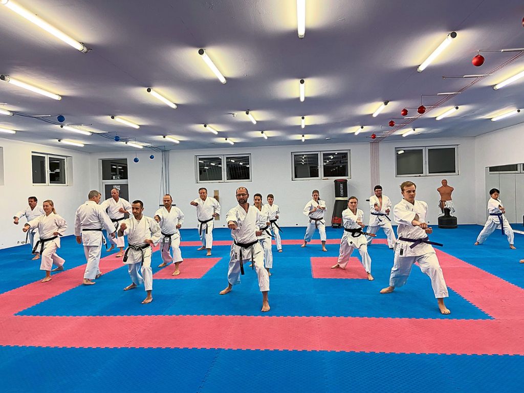 Die Teilnehmer des Oberstufenkurses im Karaterverein Bushido führen synchron die Bewegungen aus, die Trainer Andreas Heinrich vorgibt. Foto: Roth
