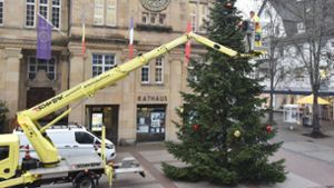 Der Weihnachtsbaum steht: Lichter und große Kugeln auf Schramberger Rathausplatz