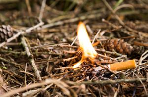 Weggeworfene Zigarettenkippen können bei Trockenheit und Hitze für Waldbrände sorgen. (Symbolfoto) Foto: tech-studio – stock.adobe.com