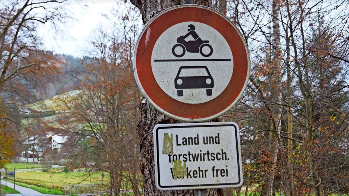 Waldhaushalt in Baiersbronn: Turbulenter Holzmarkt macht Prognose  für 2024 schwierig