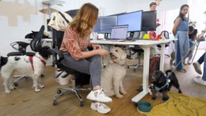 Heute dürfen  Hunde mit ins Büro – oder doch nicht?