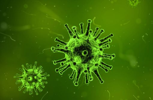 Das Coronavirus.  Foto: pixabay