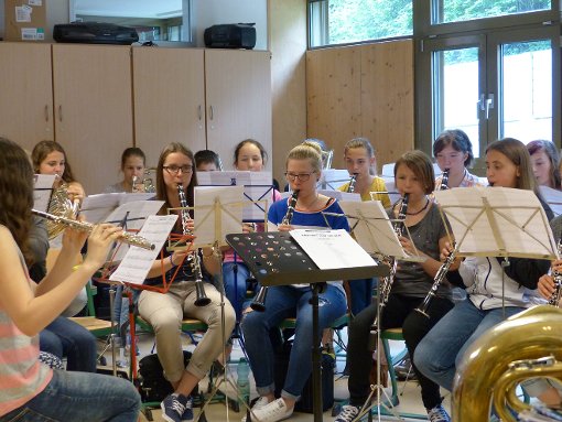 Das Konzert der Schüler des Gymnaisums am Rosenberg beginnt um 19 Uhr. Foto: Gräber Foto: Schwarzwälder-Bote