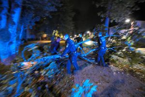 Vier Beamte tragen den abgerissenen Ast von der Straße und beseitigen die Verkehrsbehinderung im Villinger Klosterring.  Foto: Marc Eich
