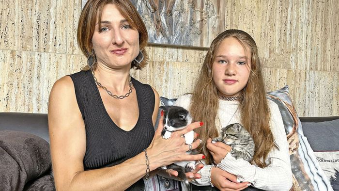 St. Georgener Tierschützer kämpfen gegen Katzenproblem