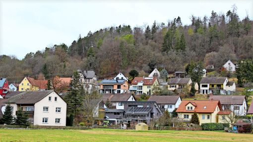 Obernau bleibt auch zukünftig ohne eigenen Bahnanschluss. Foto: Angela Baum