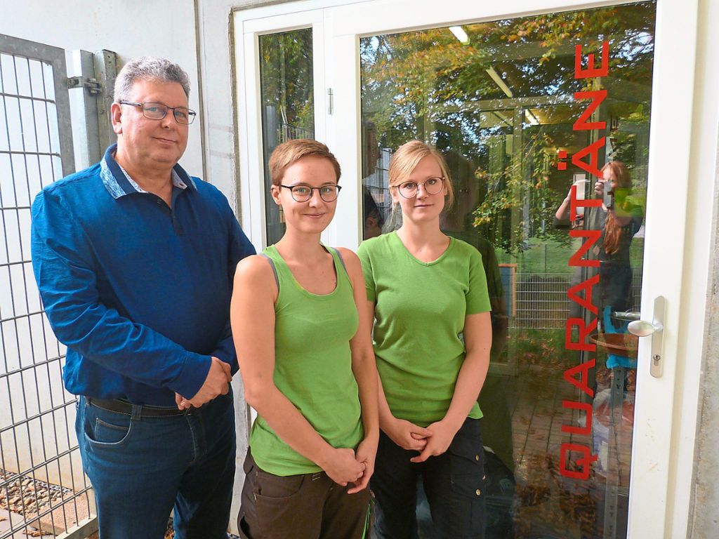 Günther Hermus (Vorsitzender Tierschutzverein), Tierheimleiterin Mandy Zumbroich und Mitarbeiterin Vanessa Schreiber hoffen auf Kratzbaumspenden für die Katzen.