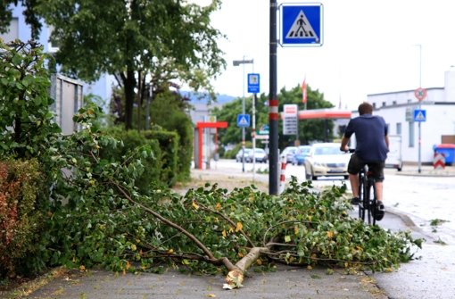 In Stuttgart fallen am Samstagmittag Bäume auf den Gehweg. Foto: dpa/Symbolbild