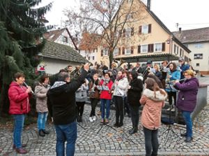 Der Musikverein Obertalheim hat an Silvester an drei ausgewählten Stellen im Dorf für die Bevölkerung gespielt. Foto: Musikverein Obertalheim Foto: Schwarzwälder Bote