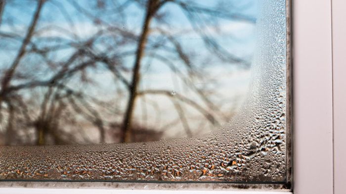 Nasse Fenster – Sulzer Experte Axel Grathwol klärt über die Ursachen auf
