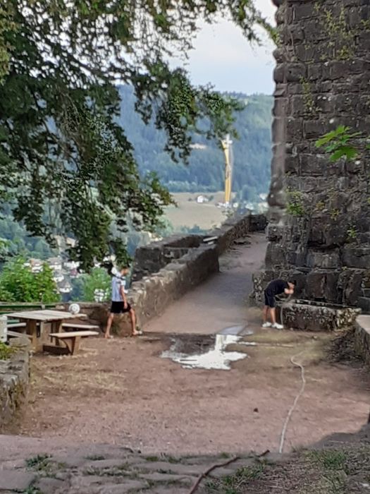 Mini-Schramberg: Wasser für die alte Buche auf der Ruine Hohenschramberg