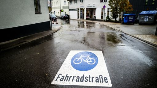 Erfahrungen mit einer Fahrradstraße konnte Nagold bis jetzt  in der Inselstraße sammeln. Foto: Thomas Fritsch