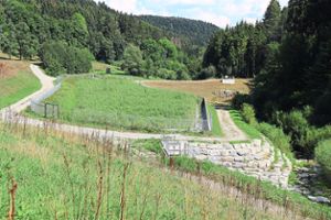 Das Retentionsbecken ist mit Schilf bewachsen. Die Anlagen fügen sich gut in die Landschaft des Zitzmannsbrunnenbachtals ein. Foto: Steinmetz