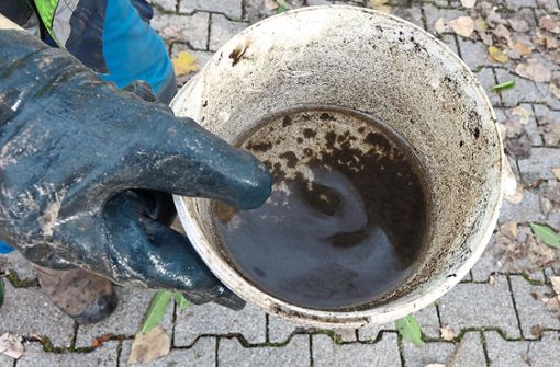 Bevor der Schlamm entwässert wird, wird ihm ein Polymer zugesetzt, sodass er sich vom Wasser absetzt. Foto: Moser