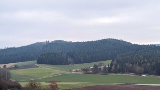 Im Wildecker Wald (Foto) und Laubbergwald will Dietingen Windräder aufstellen. Foto: Schmidt