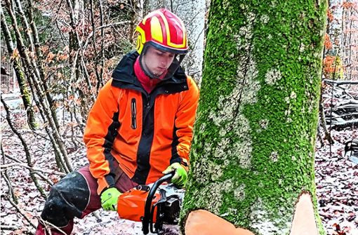 Luca Wizemann ist der neue Auszubildende im Burladinger Forst und findet, Forstwirt sei ein spannender Beruf. Foto: Maier