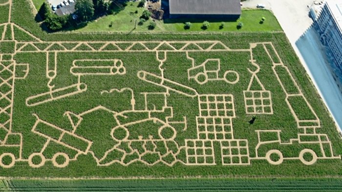 Vergnügliche Irrwege im Maislabyrinth