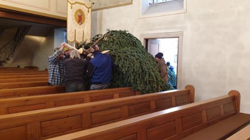 Starke Männer waren nötig, um den großen Baum aus Waldemar Bitzers Garten in die Kirche zu bringen. Foto: Brigitte Wolpert