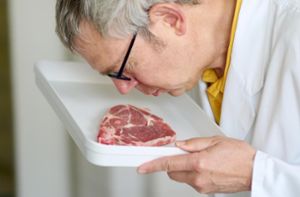 Ein Kontrolleur riecht an einem Stück Fleisch. Die sensorische Untersuchung ist der erste Schritt bei der Kontrolle von Lebensmitteln – 1634 solche Untersuchungen hat es 2020 im Zollernalbkreis gegeben. Foto: Frey