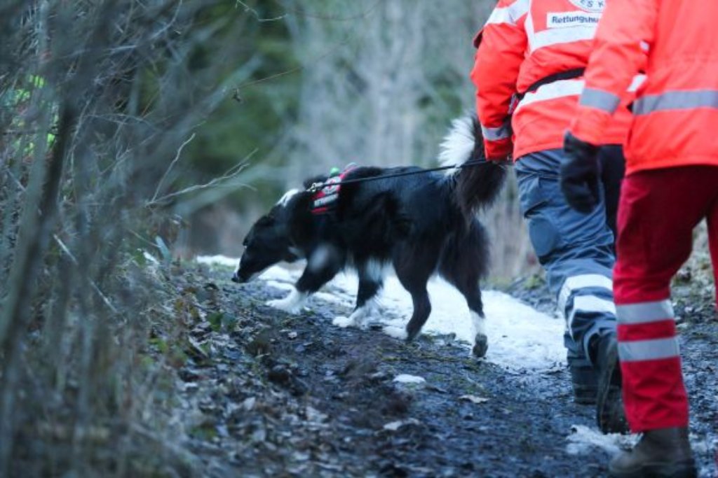 Auch Spürhunde waren bei der Suche nach dem Vermissten im Einsatz - ohne Erfolg.(Symbolbild) Foto: Eich
