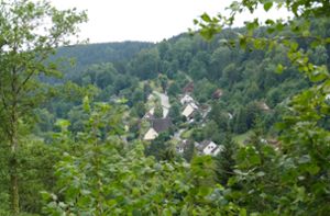 Das Heimbachtal, hier bei Busenweiler, hat eine idyllische Lage. Für Radfahrer soll es in Zukunft noch attraktiver werden. Foto: Stöhr