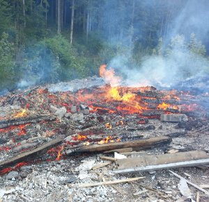 Belastetes Holz verbannt: Spuren eines Großfeuers fand die Polizei im Gewann Höll und Baumgarten in Bad Rippoldsau. Foto: Polizei
