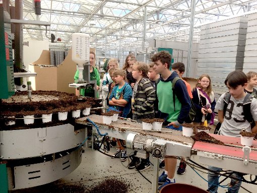 Eine Schülergruppe bei der Firma Schlenker Qualitätspflanzen  Foto: Reinhardt Foto: Schwarzwälder-Bote